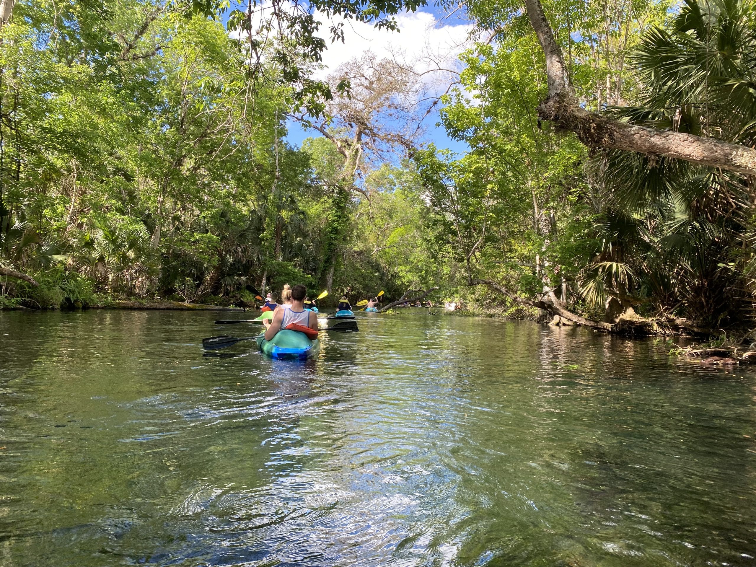 Kayaking Orlando springs