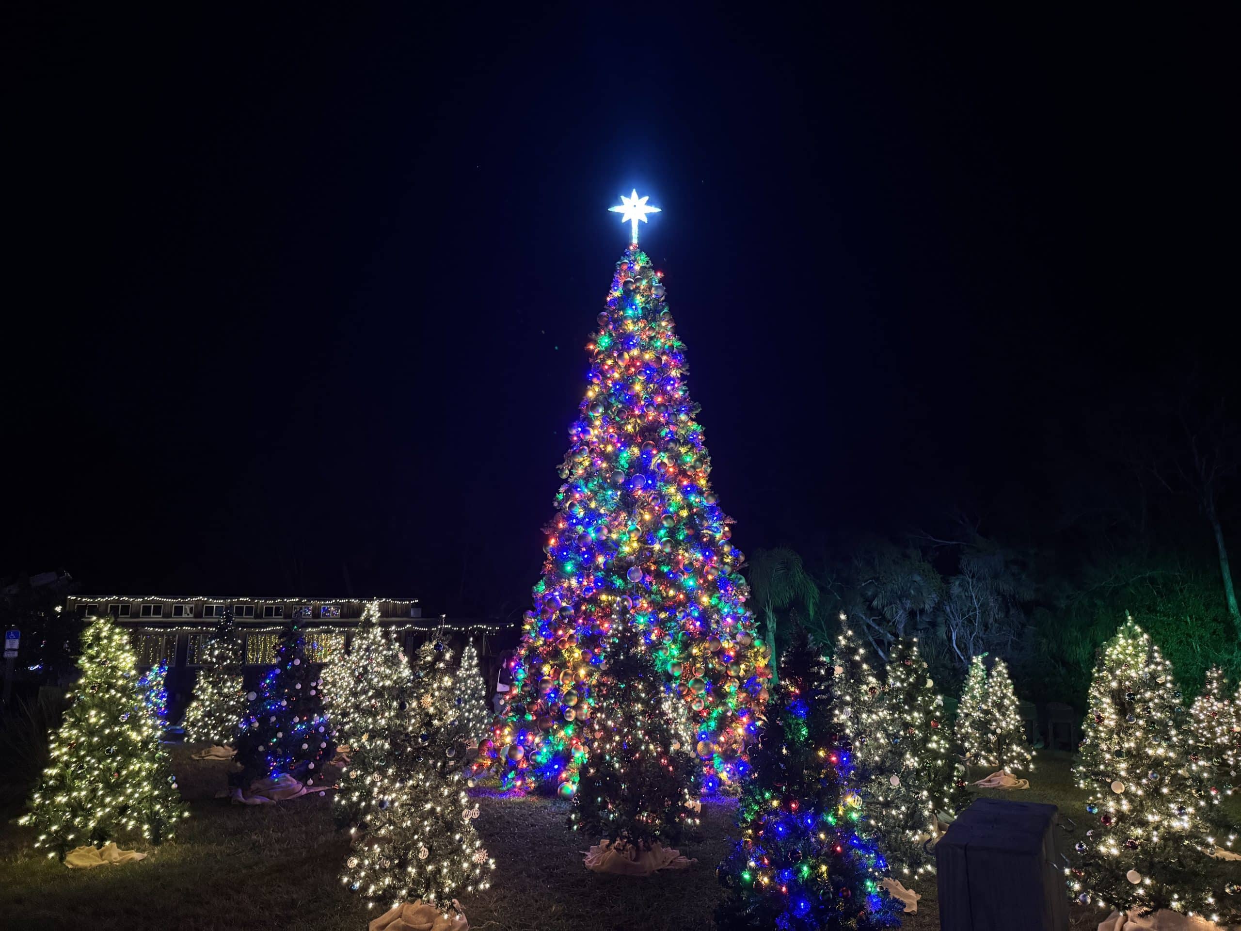 Winter Wonderland at Wekiva Island