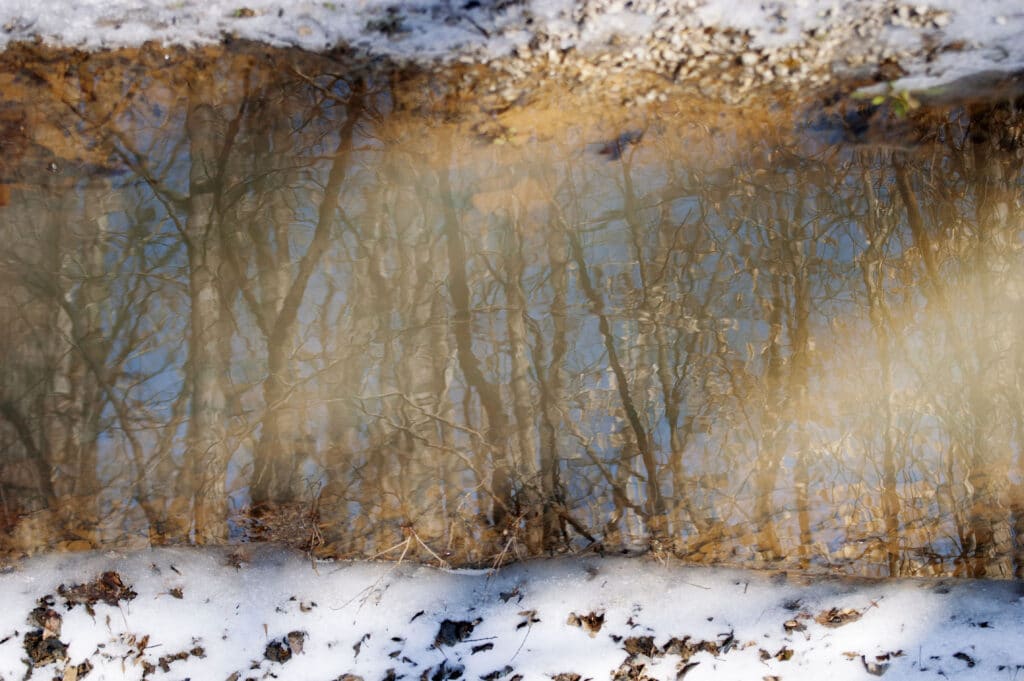 Orlando art galleries of Chris Carr's