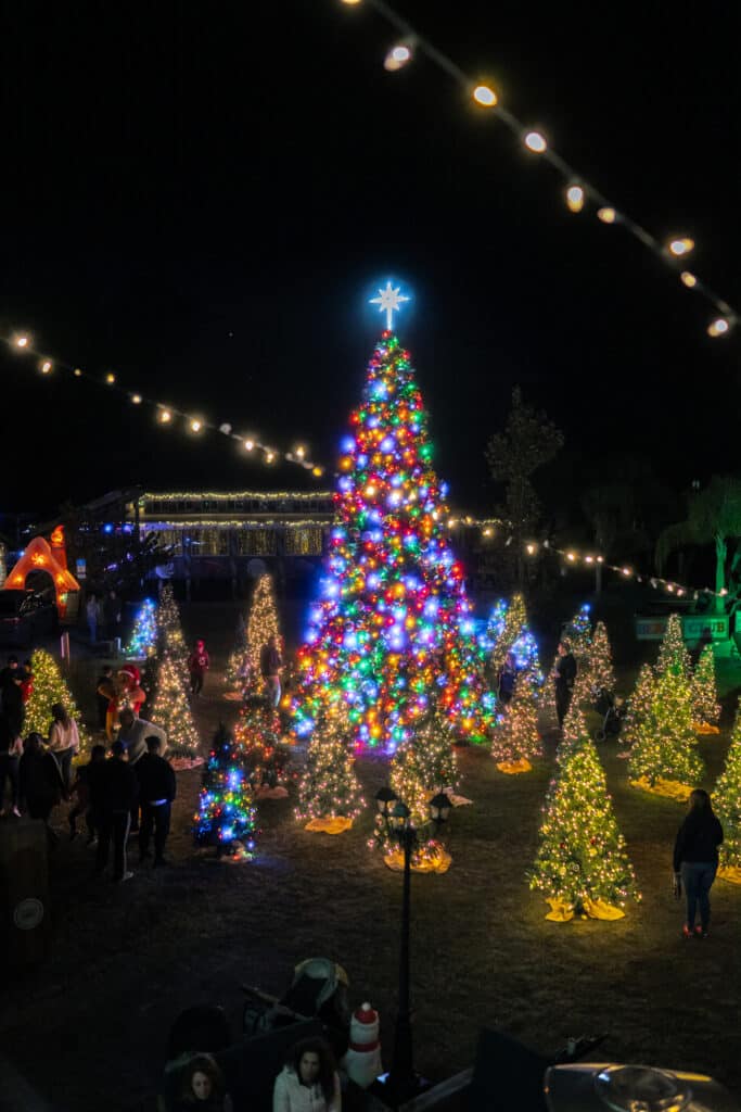 Winter Wonderland at Wekiva Island