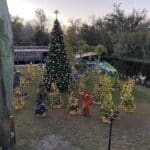 Winter Wonderland at Wekiva Island