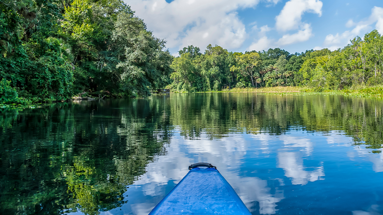The 7 Best Natural Springs Near Orlando