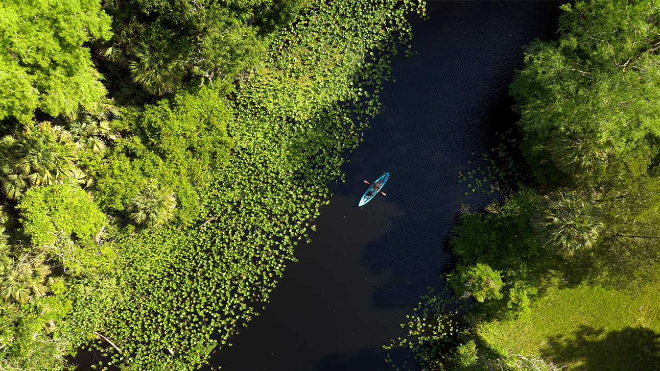 The 7 Best Natural Springs Near Orlando