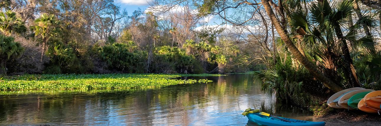 The 7 Best Natural Springs Near Orlando