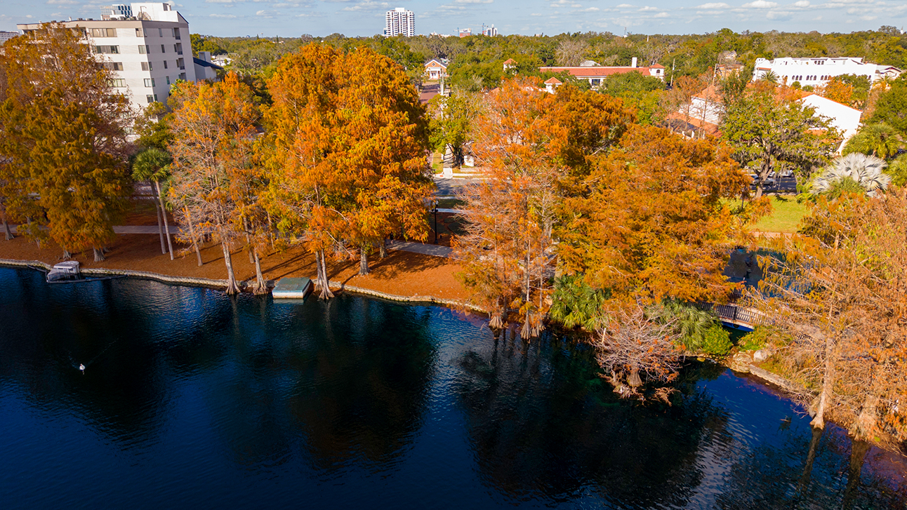 The Guide to Fall Festivals and Events Near Orlando