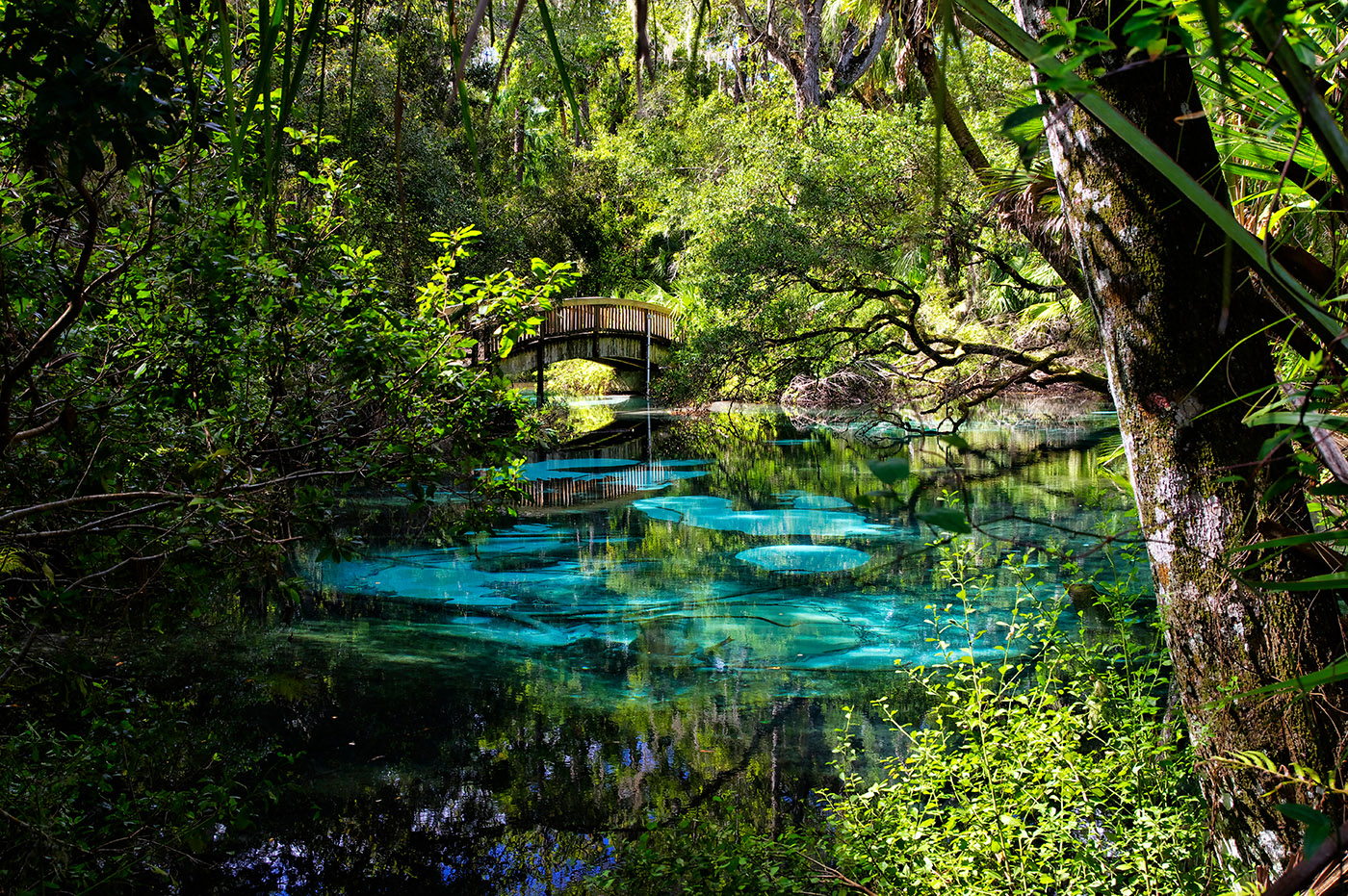 Best Time of Year to Visit Florida's Natural Springs