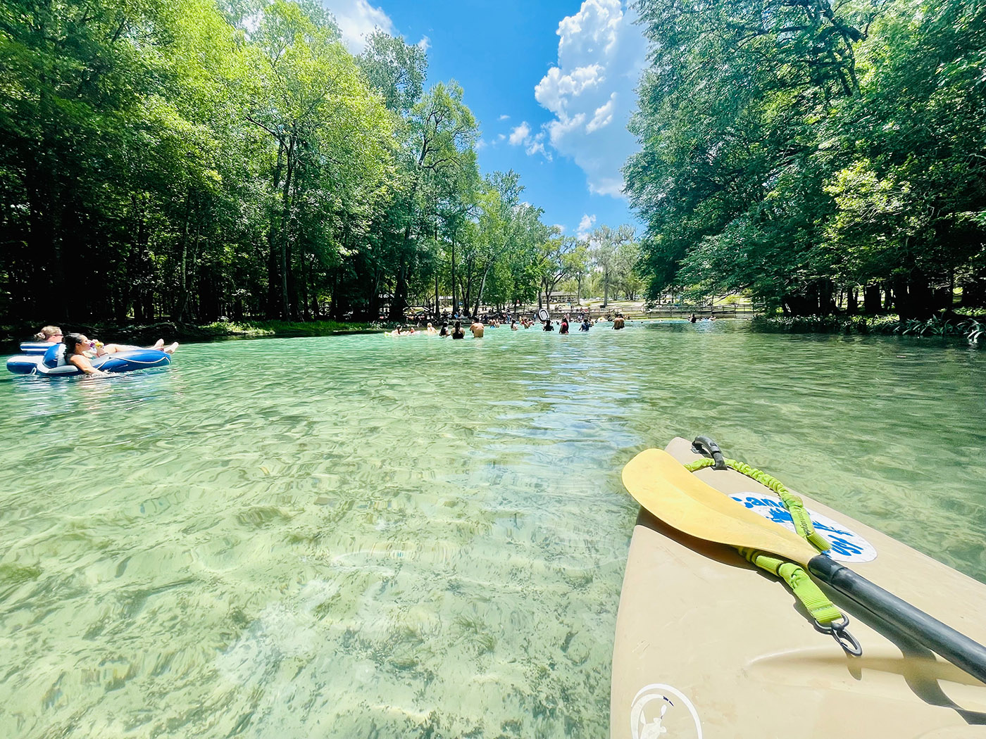 Best Time of Year to Visit Florida's Natural Springs