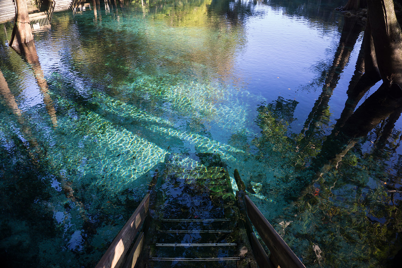 Best Time of Year to Visit Florida's Natural Springs