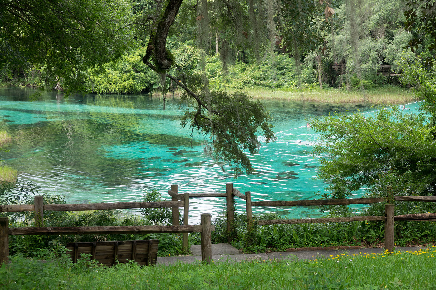Best Time of Year to Visit Florida's Natural Springs