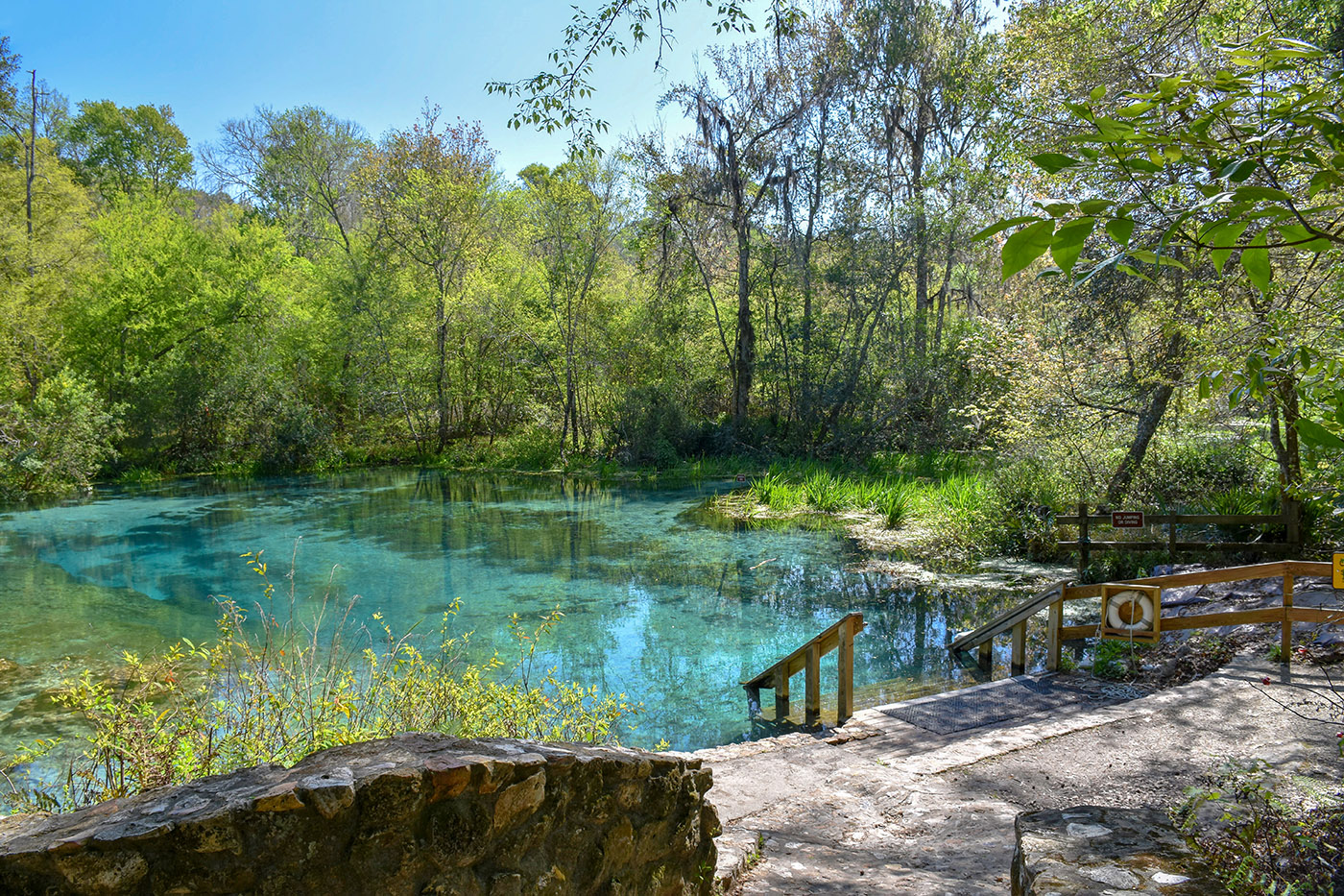 Best Time of Year to Visit Florida's Natural Springs