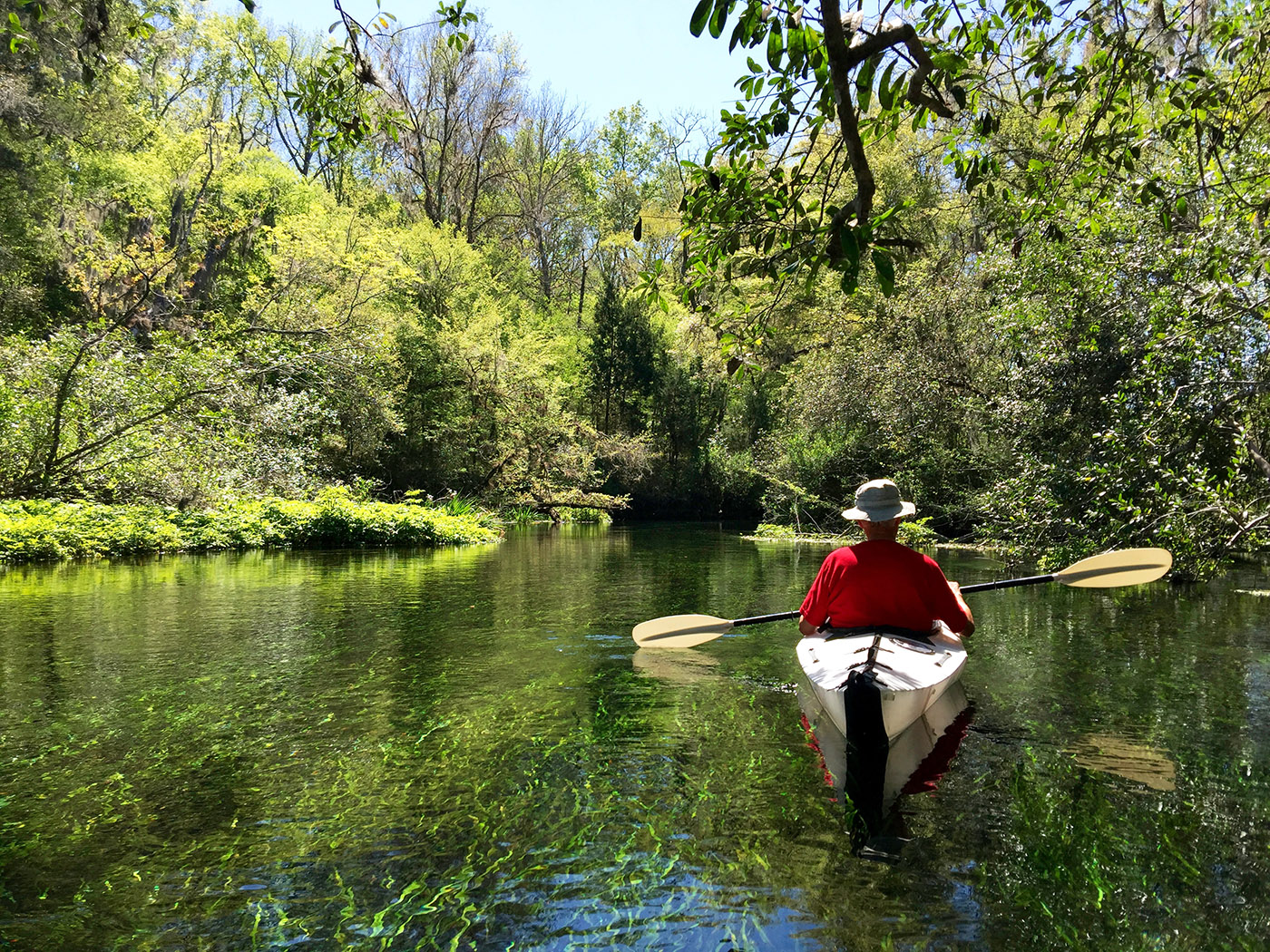 Best Time of Year to Visit Florida's Natural Springs
