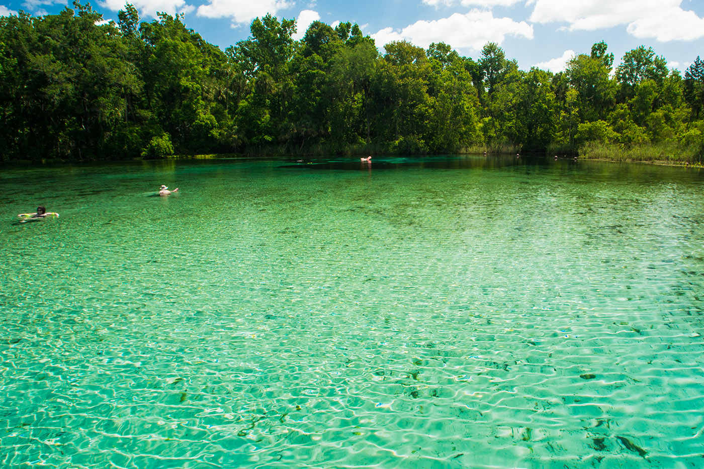 Best Time of Year to Visit Florida's Natural Springs