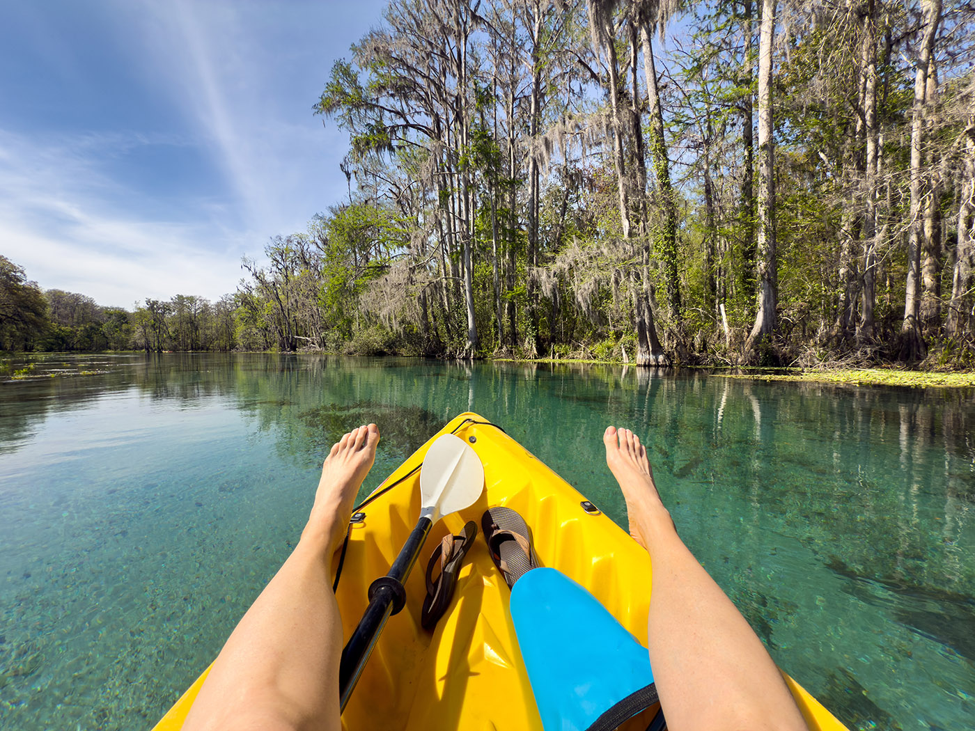 Best Time of Year to Visit Florida's Natural Springs